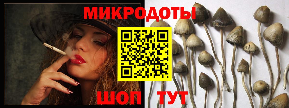 Кунгур  Псилоцибиновые грибы ЛСД  Вход с VPN 