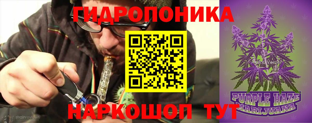 Бошки марихуана White Widow  Бошки марихуана семена  Шишки марихуана план  Бошки марихуана планчик  Кунгур  Вход с VPN 